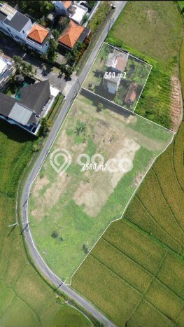 Dijual Tanah Lokasi canggu, Badung Seluas 3080m2 Dijual Tanah Lokasi canggu, Badung Seluas 3080m2