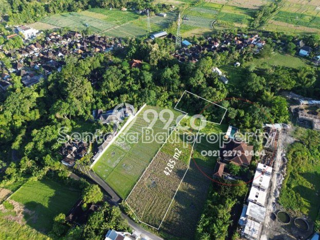 Disewakan Tanah di Tabanan, Luas 4285m2 Area Berkembang Disewakan Tanah di Tabanan, Luas 4285m2 Area Berkembang