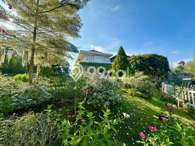 Rumah 4 KT 4 KM Luas Tanah 1000m2m², LB 500m2m² di , Badung Rumah 4 KT 4 KM Luas Tanah 1000m2m², LB 500m2m² di , Badung