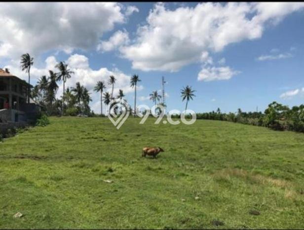 Jarang Ada! Tanah di Tabanan Punya Luas 6625m2 - Jarang Ada! Tanah di Tabanan Punya Luas 6625m2 -