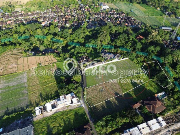 Disewakan Tanah di Tabanan, Luas 4285m2 Area Berkembang Disewakan Tanah di Tabanan, Luas 4285m2 Area Berkembang