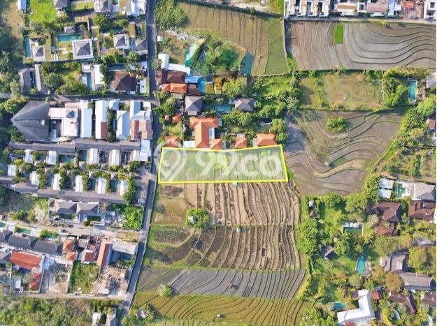 Kavling Tanah untuk Dijual di Umalas, Badung, Luas 2000m2 Kavling Tanah untuk Dijual di Umalas, Badung, Luas 2000m2