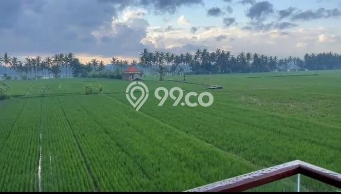 Siap Huni Hunian Elit 3 Kamar di Ubud Dekat ke Mana Saja Siap Huni Hunian Elit 3 Kamar di Ubud Dekat ke Mana Saja