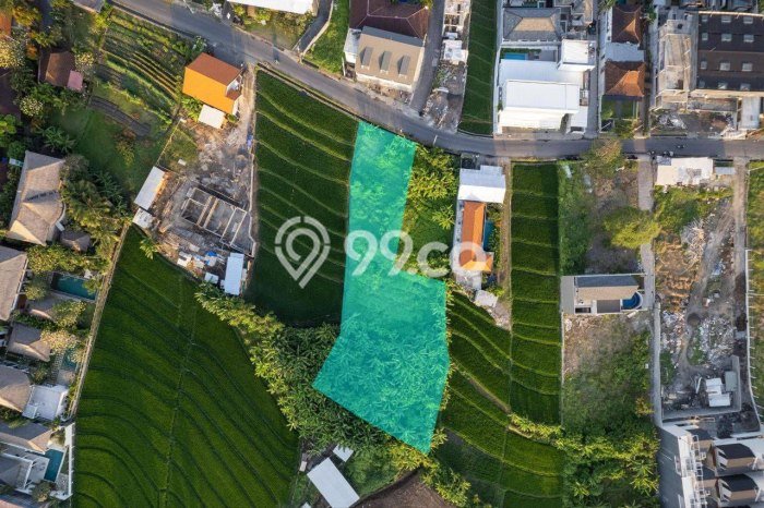 Tanah Dijual Lokasi Strategis di Badung dengan Luas 1470m2 Tanah Dijual Lokasi Strategis di Badung dengan Luas 1470m2