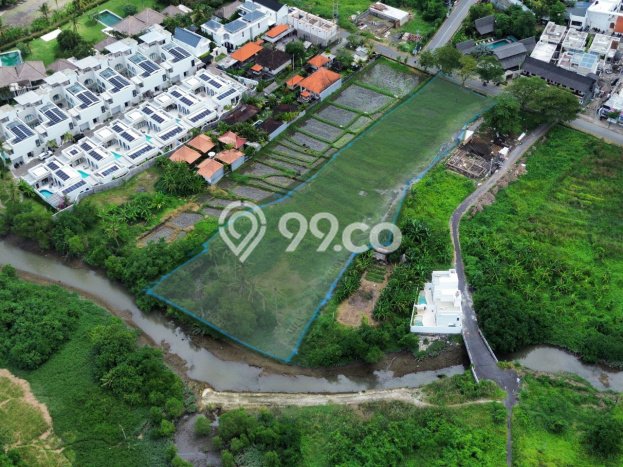Tanah Siap Bangun Dijual di Badung Punya Luas 4000m2 Tanah Siap Bangun Dijual di Badung Punya Luas 4000m2