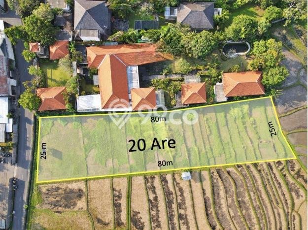 Kavling Tanah untuk Dijual di Umalas, Badung, Luas 2000m2 Kavling Tanah untuk Dijual di Umalas, Badung, Luas 2000m2