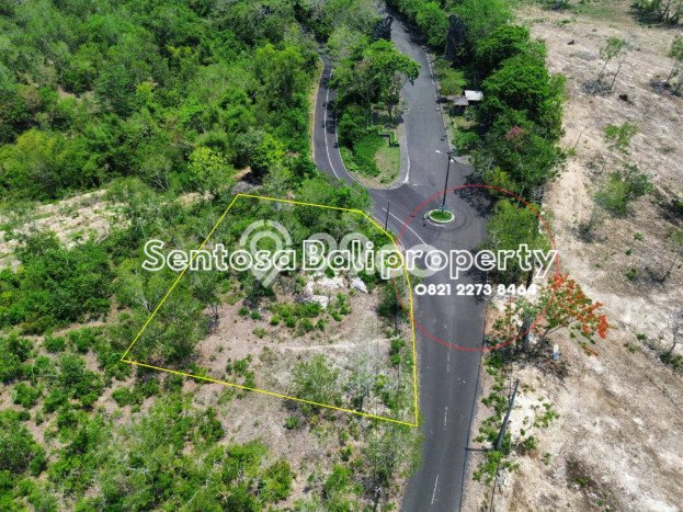 Tanah Kavling Dijual di Ungasan, Badung dengan Luas Tanah 2500m2 Tanah Kavling Dijual di Ungasan, Badung dengan Luas Tanah 2500m2