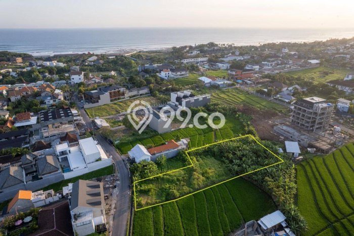 Tanah Dijual Lokasi Strategis di Badung dengan Luas 1470m2 Tanah Dijual Lokasi Strategis di Badung dengan Luas 1470m2