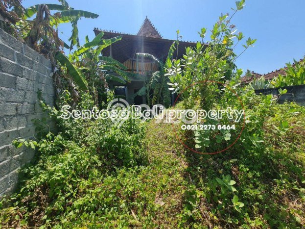 Tanah Kavling untuk Dijual di Ubud Gianyar 436m2 Tanah Kavling untuk Dijual di Ubud Gianyar 436m2