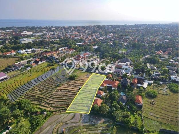 Kavling Tanah untuk Dijual di Umalas, Badung, Luas 2000m2 Kavling Tanah untuk Dijual di Umalas, Badung, Luas 2000m2