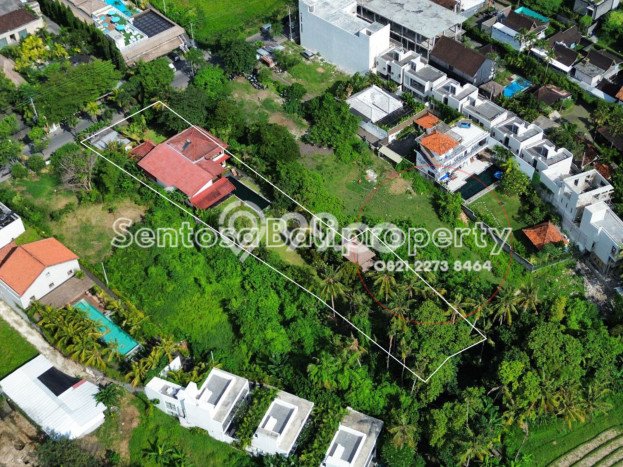 Dijual Tanah Lokasi canggu, Badung Seluas 2000m2 Dijual Tanah Lokasi canggu, Badung Seluas 2000m2