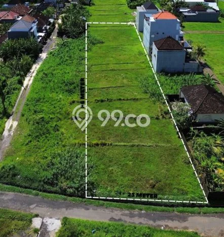 Jarang Ada! Tanah di Tabanan Punya Luas 1980m2 - Jarang Ada! Tanah di Tabanan Punya Luas 1980m2 -