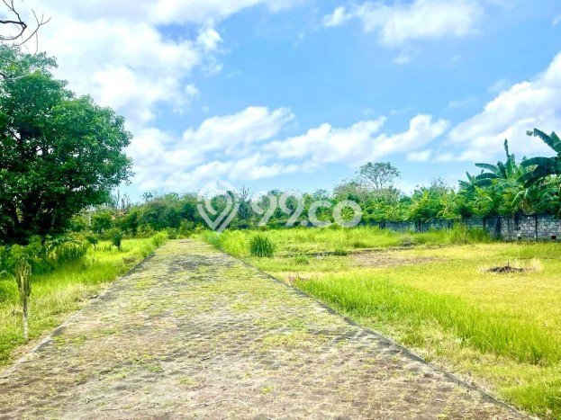 Tanah Dijual di Badung Seluas 550m2 Strategis Tanah Dijual di Badung Seluas 550m2 Strategis