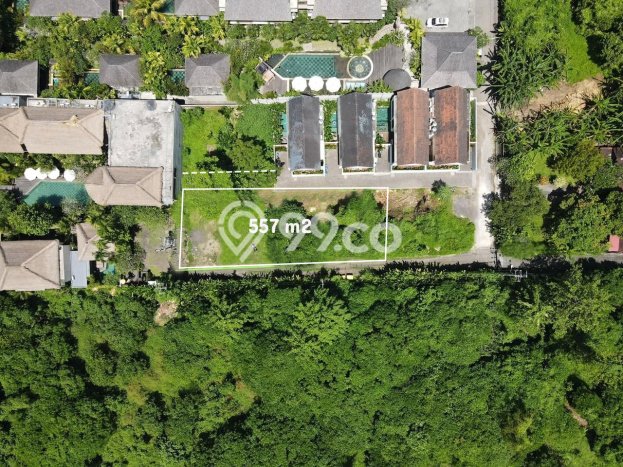 Kavling Tanah Dijual di Ubud Gianyar Spesifikasi 557m2 Kavling Tanah Dijual di Ubud Gianyar Spesifikasi 557m2