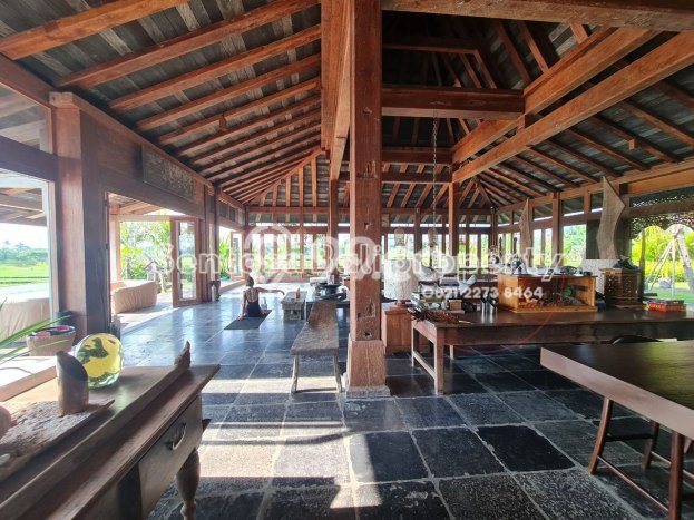Hunian Super Elit dengan Akses Paling Strategis di Canggu, Badung Hunian Super Elit dengan Akses Paling Strategis di Canggu, Badung