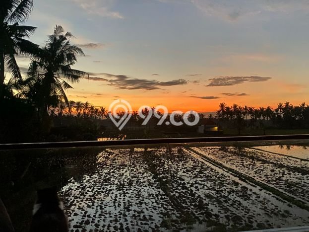 Siap Huni Hunian Elit 3 Kamar di Ubud Dekat ke Mana Saja Siap Huni Hunian Elit 3 Kamar di Ubud Dekat ke Mana Saja
