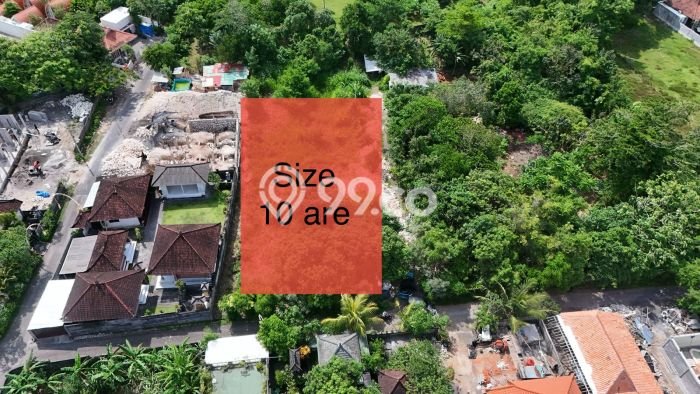 Untuk Dijual Tanah di Badung, Luas 1000m2 - Untuk Dijual Tanah di Badung, Luas 1000m2 -
