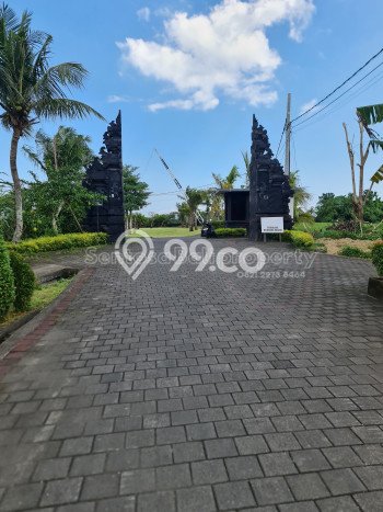 Tanah Investasi Dijual di Tabanan Punya Luas 710m2 Tanah Investasi Dijual di Tabanan Punya Luas 710m2