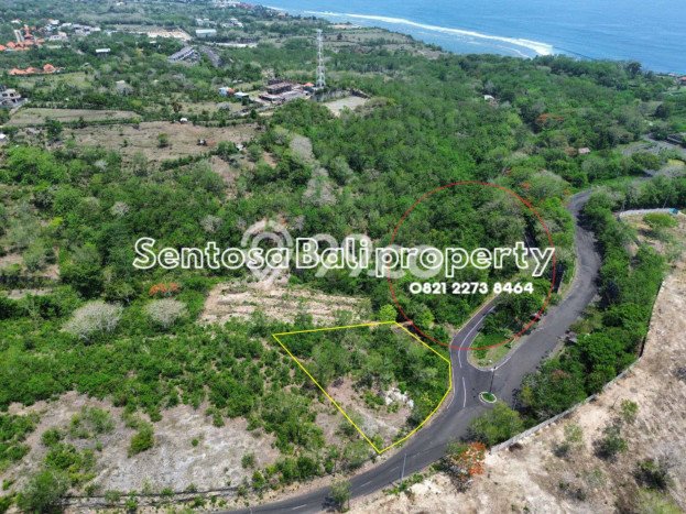 Tanah Kavling Dijual di Ungasan, Badung dengan Luas Tanah 2500m2 Tanah Kavling Dijual di Ungasan, Badung dengan Luas Tanah 2500m2