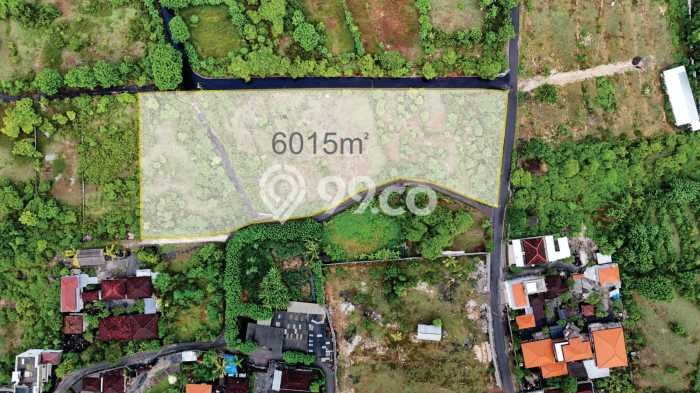 Dijual Tanah 6015m2 di Ungasan, Badung Dijual Tanah 6015m2 di Ungasan, Badung