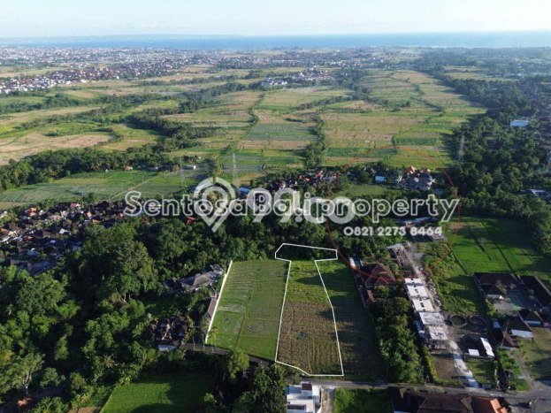 Disewakan Tanah di Tabanan, Luas 4285m2 Area Berkembang Disewakan Tanah di Tabanan, Luas 4285m2 Area Berkembang