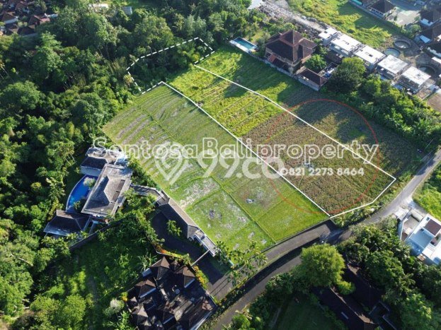 Disewakan Tanah di Tabanan, Luas 4285m2 Area Berkembang Disewakan Tanah di Tabanan, Luas 4285m2 Area Berkembang
