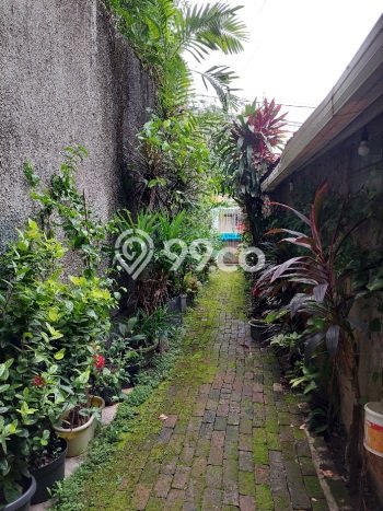 Dijual Rumah Premium dengan Fasilitas Sekitar Komplit di Senen, Jakarta Pusat Dijual Rumah Premium dengan Fasilitas Sekitar Komplit di Senen, Jakarta Pusat