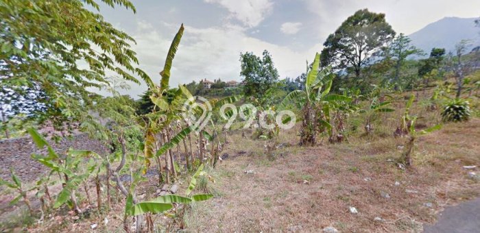 Tanah Strategis Dijual di Prigen Pasuruan 11000m2 Tanah Strategis Dijual di Prigen Pasuruan 11000m2
