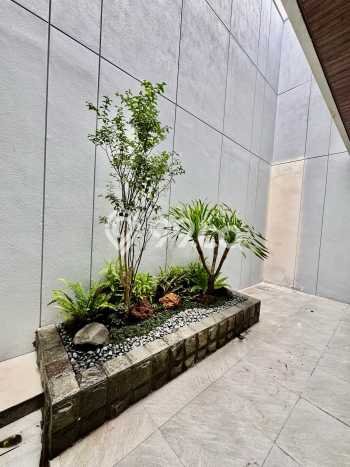For Sale Rumah Mewah Exclusive di Gubeng, Surabaya For Sale Rumah Mewah Exclusive di Gubeng, Surabaya