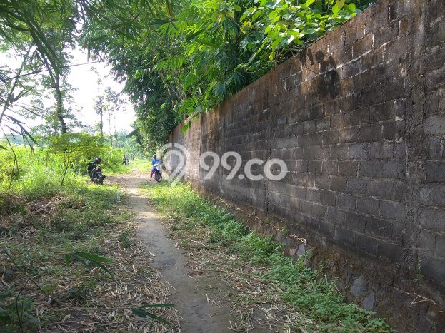 Tanah Dijual Lokasi Prambanan, Klaten Luas 179m2 Legalitas Aman Tanah Dijual Lokasi Prambanan, Klaten Luas 179m2 Legalitas Aman