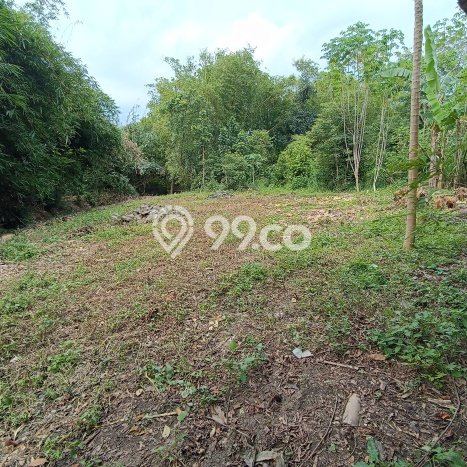 Tanah Strategis Dijual di Prambanan Klaten 428m2 Tanah Strategis Dijual di Prambanan Klaten 428m2