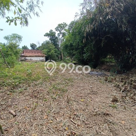 Tanah Strategis Dijual di Prambanan Klaten 428m2 Tanah Strategis Dijual di Prambanan Klaten 428m2