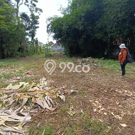 Tanah Strategis Dijual di Prambanan Klaten 428m2 Tanah Strategis Dijual di Prambanan Klaten 428m2