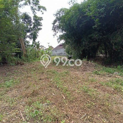 Tanah Strategis Dijual di Prambanan Klaten 428m2 Tanah Strategis Dijual di Prambanan Klaten 428m2
