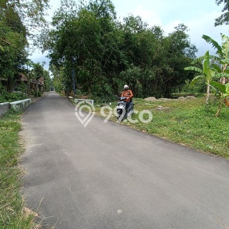 Tanah Strategis Dijual di Prambanan Klaten 428m2 Tanah Strategis Dijual di Prambanan Klaten 428m2