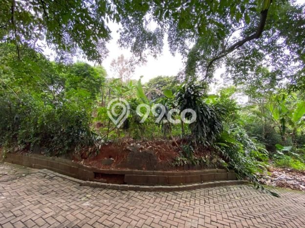 Kavling Tanah Dijual di Cipayung Depok Spesifikasi 3550m2 Kavling Tanah Dijual di Cipayung Depok Spesifikasi 3550m2