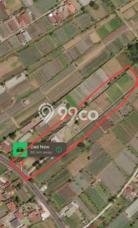 Tanah Kavling Dijual di Pancasari, Buleleng dengan Luas Tanah 5000m2 Tanah Kavling Dijual di Pancasari, Buleleng dengan Luas Tanah 5000m2