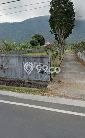 Tanah Kavling Dijual di Pancasari, Buleleng dengan Luas Tanah 5000m2 Tanah Kavling Dijual di Pancasari, Buleleng dengan Luas Tanah 5000m2