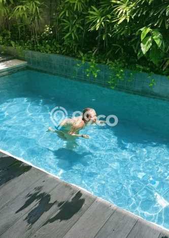 Siap Huni Apartemen Luxury di Canggu 7 Kamar & 8 Kamar Mandi Siap Huni Apartemen Luxury di Canggu 7 Kamar & 8 Kamar Mandi
