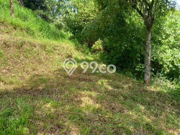 Untuk Dijual Tanah 4000m2 di Lembang, Bandung Untuk Dijual Tanah 4000m2 di Lembang, Bandung
