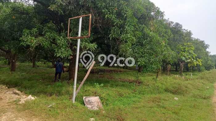 Tanah Dijual Lokasi Indramayu, Indramayu dengan Luas Tanah 110000m2 dan Status - Tanah Dijual Lokasi Indramayu, Indramayu dengan Luas Tanah 110000m2 dan Status -