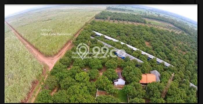 Tanah Dijual Lokasi Indramayu, Indramayu dengan Luas Tanah 110000m2 dan Status - Tanah Dijual Lokasi Indramayu, Indramayu dengan Luas Tanah 110000m2 dan Status -