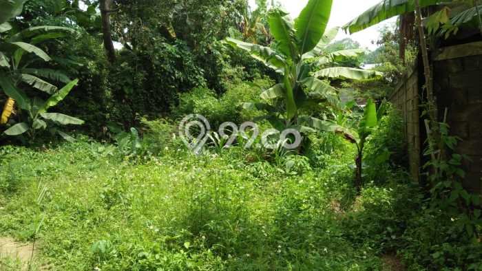 Kavling Tanah untuk Dijual di Dago, Bandung, Luas 2677m2 Kavling Tanah untuk Dijual di Dago, Bandung, Luas 2677m2