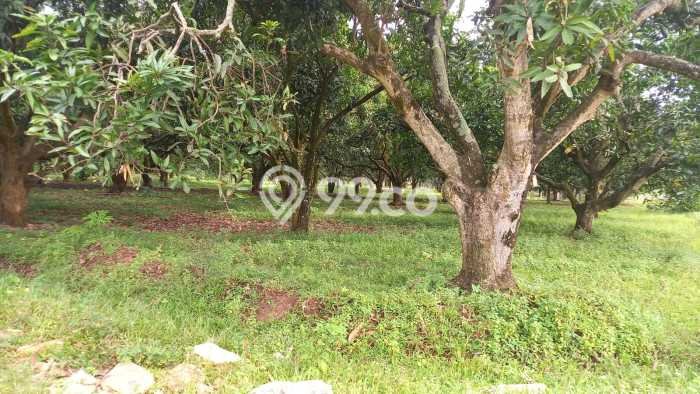 Tanah Dijual Lokasi Indramayu, Indramayu dengan Luas Tanah 110000m2 dan Status - Tanah Dijual Lokasi Indramayu, Indramayu dengan Luas Tanah 110000m2 dan Status -