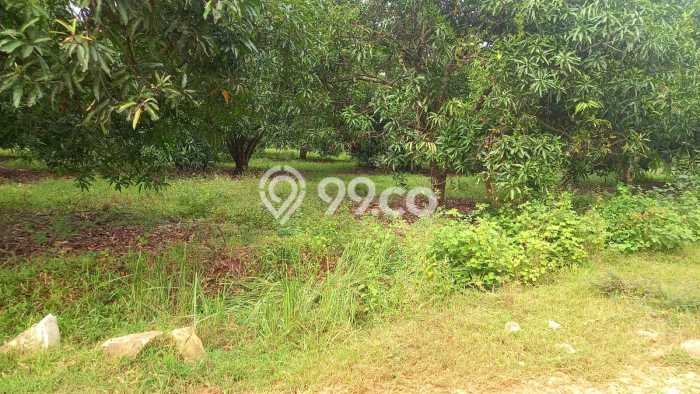 Tanah Dijual Lokasi Indramayu, Indramayu dengan Luas Tanah 110000m2 dan Status - Tanah Dijual Lokasi Indramayu, Indramayu dengan Luas Tanah 110000m2 dan Status -
