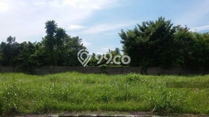 Tanah Area Strategis Kawasan Denpasar Timur, Luas 730m², Cocok untuk Investasi Tanah Area Strategis Kawasan Denpasar Timur, Luas 730m², Cocok untuk Investasi