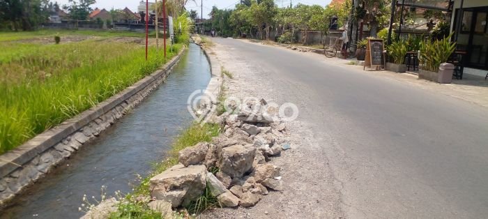 Kavling Tanah di Kediri Dijual Luas 10000m2 Legalitas SHM Kavling Tanah di Kediri Dijual Luas 10000m2 Legalitas SHM