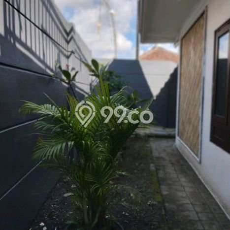 HARGA TERBAIK! Rumah di Denpasar Utara, 4 KT, Area Sejuk, LT 150m² LB 100m² HARGA TERBAIK! Rumah di Denpasar Utara, 4 KT, Area Sejuk, LT 150m² LB 100m²