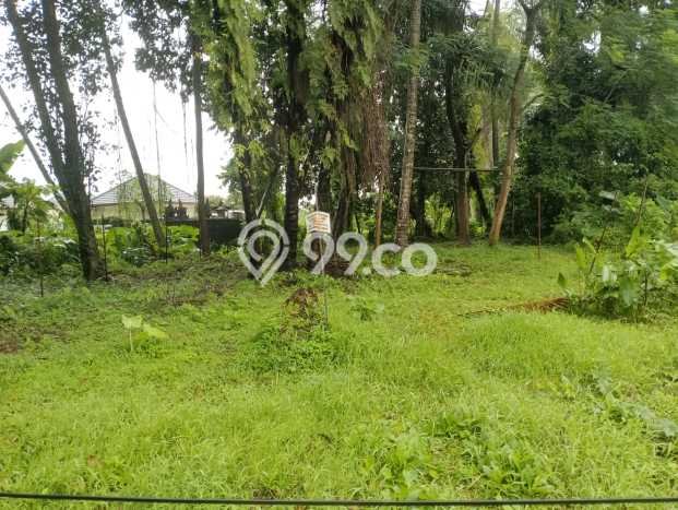 Tanah untuk Dijual di Ubud Gianyar Luas 300m2 Tanah untuk Dijual di Ubud Gianyar Luas 300m2