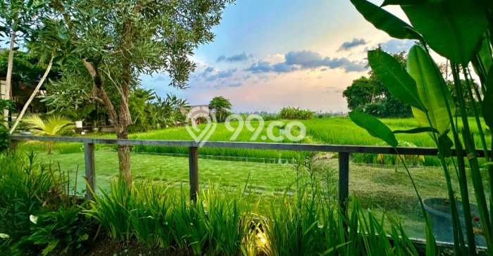Vila Ready to Rent Kawasan , Area 0m2m², Kawasan Asri Vila Ready to Rent Kawasan , Area 0m2m², Kawasan Asri